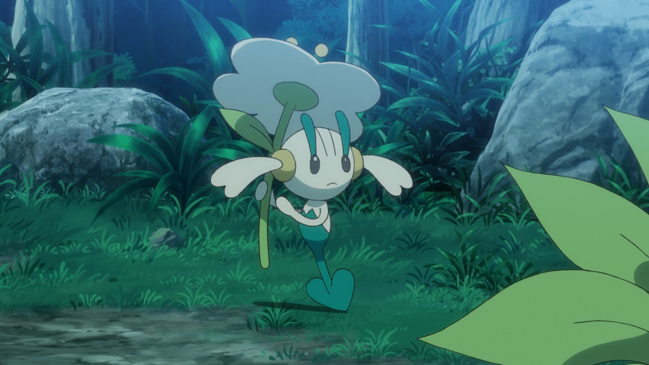 new pokemon florette