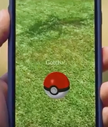 A Poké Ball in Pokémon GO