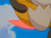 Psyduck's pink tail