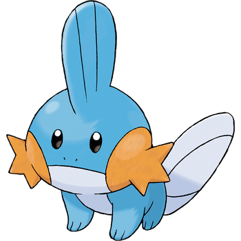 258Mudkip