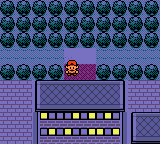 The back entrance in Pokémon Gold, Silver and Crystal