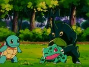 Heracross licks Bulbasaur's sap