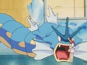 Joy touches Gyarados to calm it down