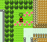 A tree containing a PRZCureBerry