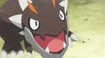 XY025 17.png (1.02 MB)