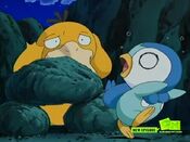 Piplup tracked a Psyduck