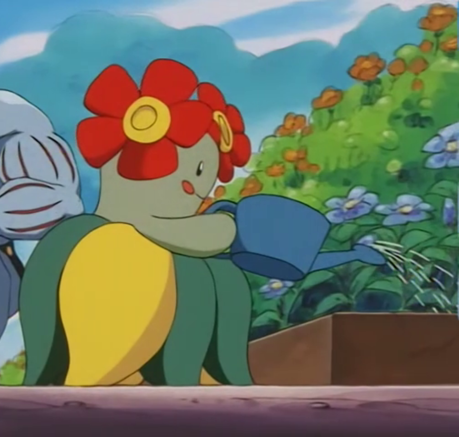 Bellossom, Pokémon Wiki