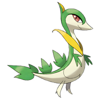 #0496 Servine Grass