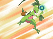 Grovyle using Energy Ball