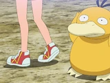 Misty's Psyduck (anime)