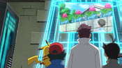 The boys and Cerise are researching the mysterious march of Ivysaur