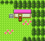 Route 30 - Mr. Pokémon's House