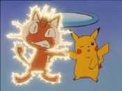 Pikachu zaps Meowth