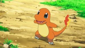 Ash's Charmander, main series.