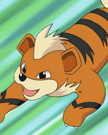 Morrison S Growlithe Pokemon Wiki Fandom