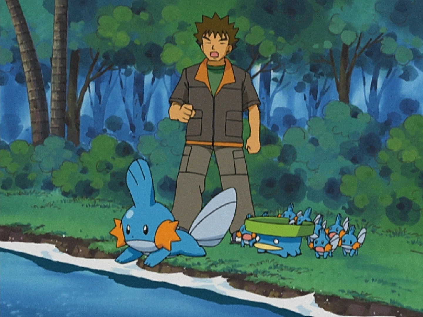 A Mudkip Mission! | Pokémon Wiki | Fandom, image size:1440x1080