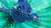 Wishiwashi and Popplio battling