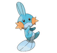 258Mudkip