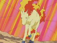 Jon Dickson Rapidash