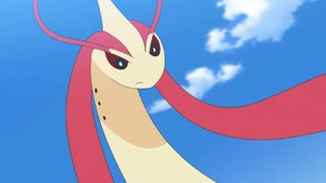 Milotic in the anime.