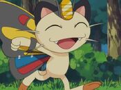 Meowth, the Beautifly Pokémon