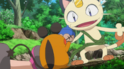 Dedenne delivering the Kago Berry