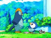 Prinplup's and Piplup's rivalry