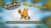 Elekid - Who's that Pokémon.jpg