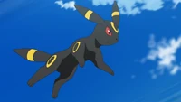 Gladion Umbreon.png