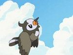Paul caught three Starly in a forest with his Elekid. After scanning them, he lets two of them go and kept one due to it knowing Aerial Ace. It is a powerful Starly that was able to defeat Ash's Starly in a quick battle. However, despite this win, Paul decided to let Starly go.