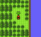 A tree containing a Bitter Berry