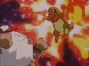 Charmander uses Rage