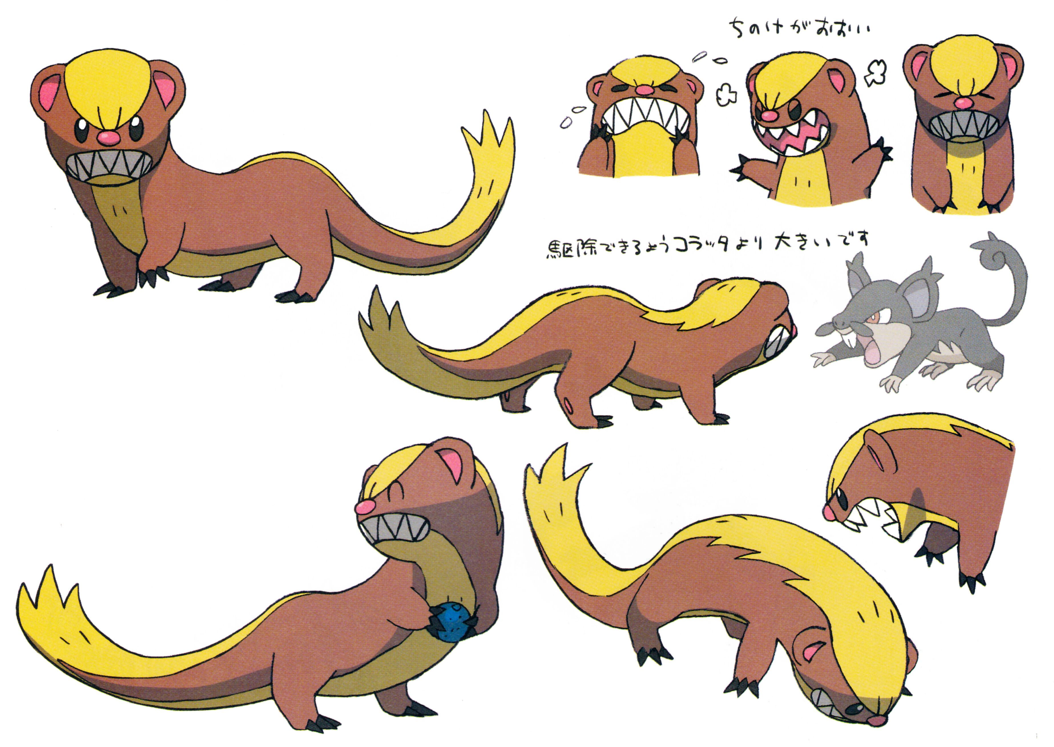 Yungoos Pokemon Wiki Fandom