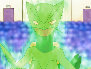 Ash Sceptile Overgrow