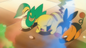 Snivy, Pikachu and Oshawott are hit by Round