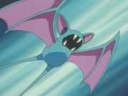 Brock Zubat