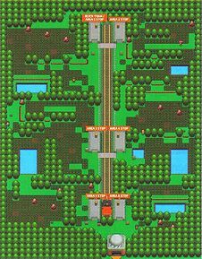 Walkthrough:Pokémon Platinum/Section 2, Pokémon Wiki