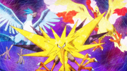 Legendary Birds XY114