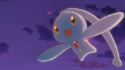 Manaphy MS009