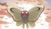 Butterfree bids farewell to Ash