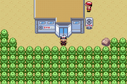 The gym (Gen III)