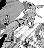 Rayquaza was used by Norman in order to act as a mediator in the ensuing fight between Groudon and Kyogre. However, Norman was unable to handle the sheer power required to control Rayquaza, and his heart gave out as a result. After Norman's death, Rayquaza flew away from the battle. It was this same Rayquaza that Norman had been hunting for seven years.