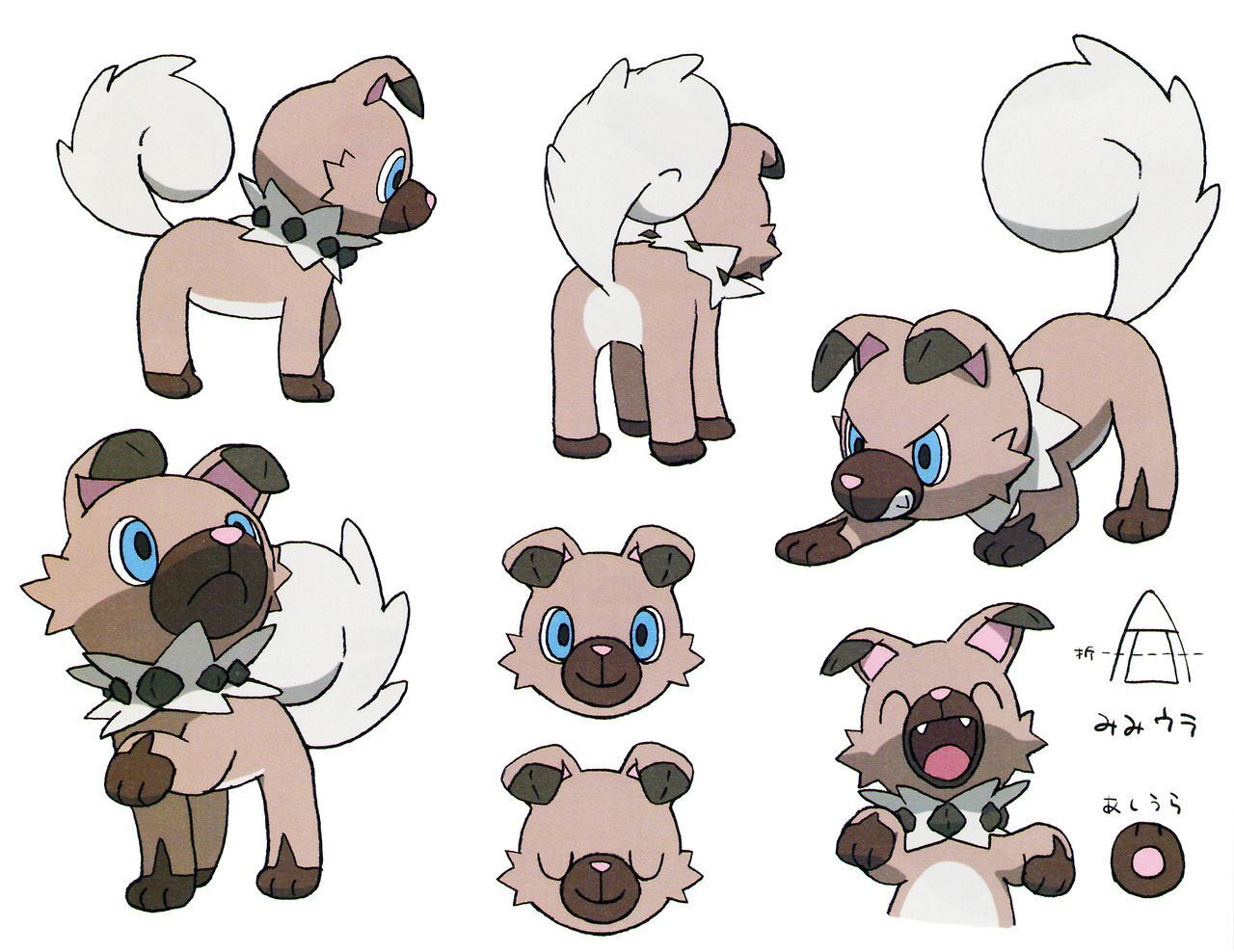 Rockruff  Pokédex