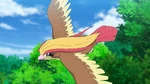 After Pidgeotto evolved into Pidgeot, it went into battle against a flock of Spearow and Fearow that were terrorizing Pidgey and Pidgeotto in Viridian Forest. After the battle was done, Ash decided to leave it in the forest to lead the flock but left with the promise that he would someday return for it.