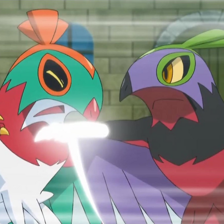 Carl S Hawlucha Pokemon Wiki Fandom All posts must be flaired. carl s hawlucha pokemon wiki fandom