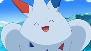 Togekiss being gentle