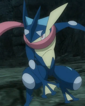 Ippei S Greninja Pokemon Wiki Fandom