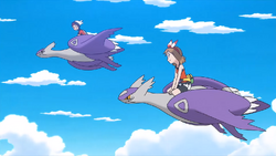 Latios, latias, swampert, Salamence, johto, Pokémon Adventures, bulbapedia,  Pokémon Omega Ruby and Alpha Sapphire, pokémon Company, whales Dolphins And  Porpoises