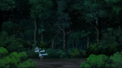 Riolu runs away from Ash