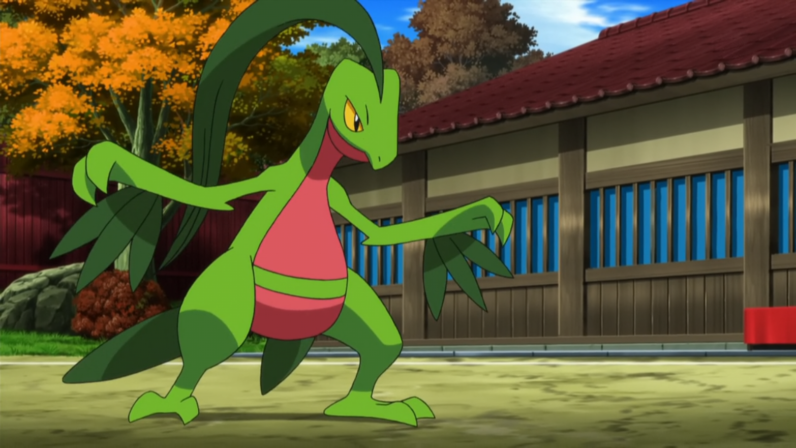 De quem é o Sceptile em Pokémon XY&Z? 